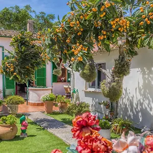 Casa Vileta Palma